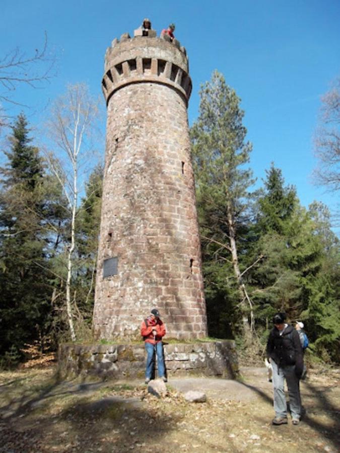 Le Gite Des Sources: Nature, Randonnees, Detente. Oberbronn Exterior photo